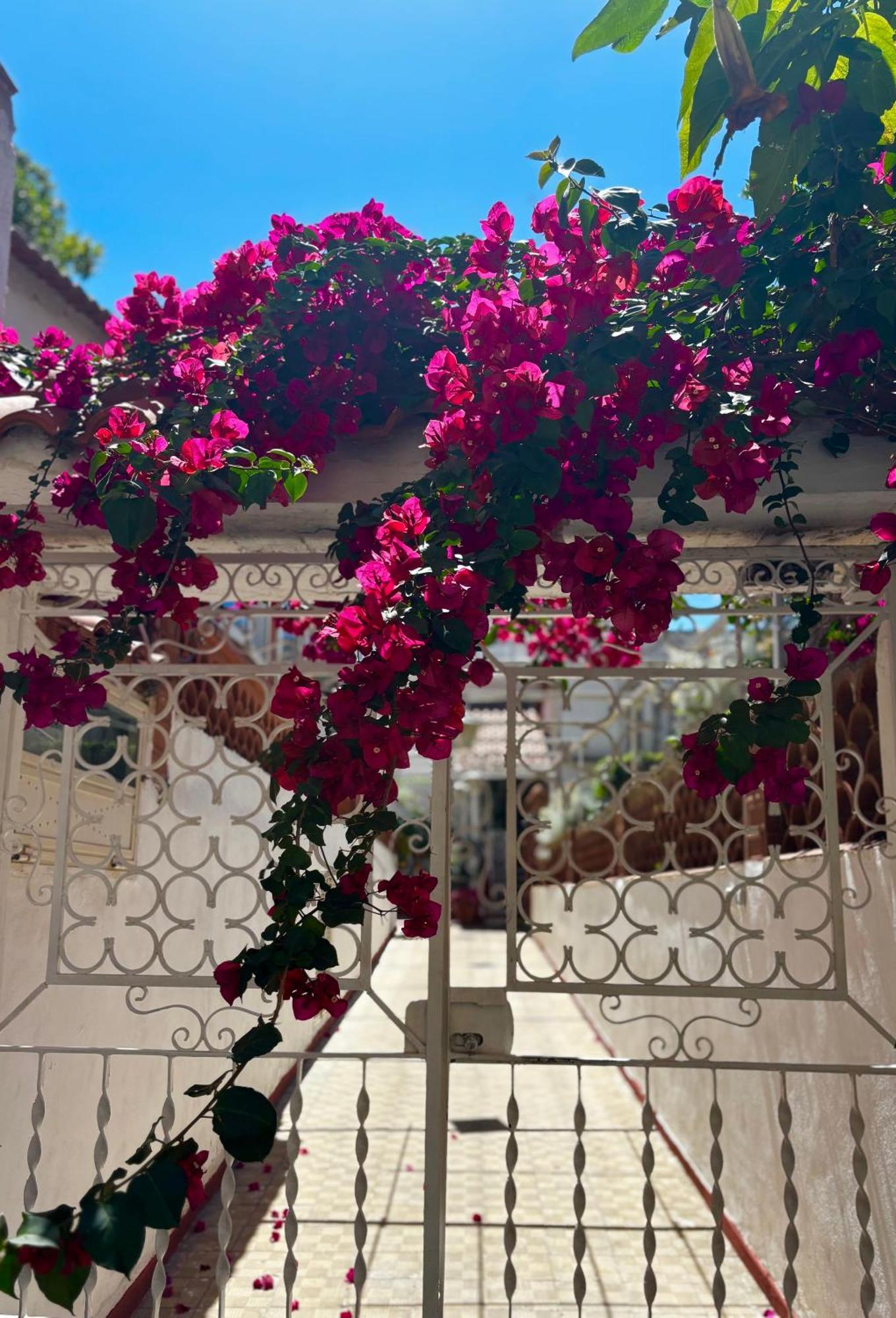 Syrene Suites Sorrento Piano di Sorrento Exterior photo