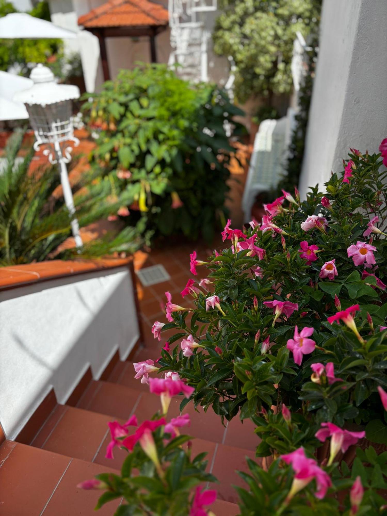 Syrene Suites Sorrento Piano di Sorrento Exterior photo